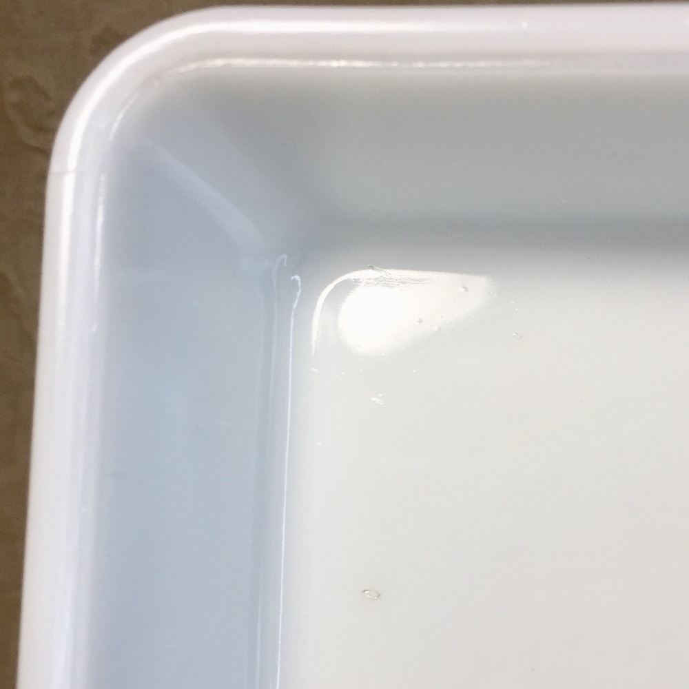 Vintage Milk Glass Photo Developing Tray Burke & James - Picture 12 of 12